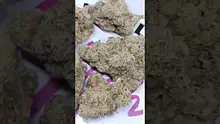 HighThoughts Low Focus Video Thumbnail