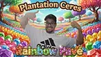 Plantations Ceres RP T29 Rainbow Pave UK Medical Flower Review