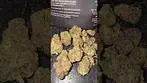 Fruit Loops && Fuel
