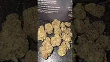 MarmitesMedicalUK Video Thumbnail