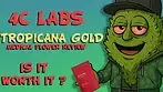 4C LABS | Tropicana Gold | Uk Medical Flower Review