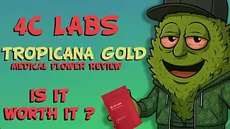 4C LABS | Tropicana Gold | Uk Medical Flower Review