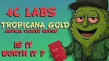 CheeseMon4 Video Thumbnail