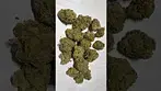 Petal & Bud z-berries 25% thc #medicalcannabis (bargain basement)