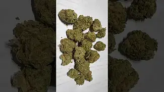 Petal & Bud z-berries 25% thc #medicalcannabis (bargain basement)