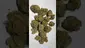 Video Thumbnail: Strange Life 420