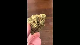 Venty looking at Orange Cake by AAAA 27%thc non irradiated Quick Look. How good is the Venty???