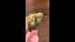 Video Thumbnail: Medicated Barber Friend