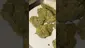 Video Thumbnail: Medi Blaze