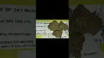 NF Blueberry Fuego UK medical cannabis #medicalcannabis #cannabiscommunity #uk  #shorts