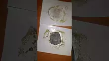 Smacksalad Video Thumbnail