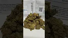 Medical UK Cannabis Video Thumbnail