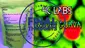 Video Thumbnail: Herb Gaming