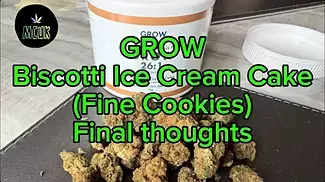 GROW Platinum T26 Fine Cookies Biscotti Ice Cream Cake