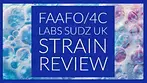 4C Labs Sudz UK Strain Review