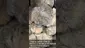 Video Thumbnail: Adz Canna