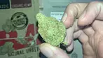 KASA VERDE | GAZZURPLE | UK MEDICAL CANNABIS PATIENT REVIEW 2025