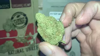 KASA VERDE | GAZZURPLE | UK MEDICAL CANNABIS PATIENT REVIEW 2025