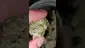 Video Thumbnail: WestPacks420
