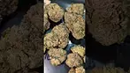 4C LABS JOKERZ (UK PRESCRIPTION MEDICATION)