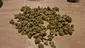 Video Thumbnail: Keep Blazing Stay Amazing