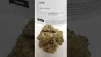 Avaay Medical - Kush Mints KM 28/1 