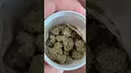 Grow Pharma French Cookies T30 #ukmedicalcannabis #painrelief #medicalcannabis #plantmedicine