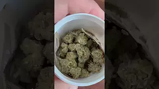 Grow Pharma French Cookies T30 #ukmedicalcannabis #painrelief #medicalcannabis #plantmedicine