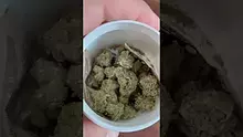 420Medical Video Thumbnail