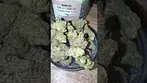 Big nastie medical gelatti