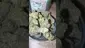 Video Thumbnail: Concanna