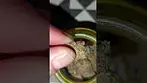 Berry Cream Puff by Upstate #uk #medical #sweet