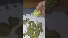 ScottiDunCanna Video Thumbnail