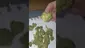 Video Thumbnail: ScottiDunCanna