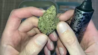 LOT420 | LEMON CHERRY GELATO | FIRE 10/10 | UK MEDICAL CANNABIS PATIENT FLOWER REVIEW 2025 