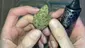 Video Thumbnail: Medical Cannabis Patient Reviews UK