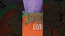Eazypax420 Video Thumbnail
