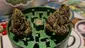 Video Thumbnail: Keep Blazing Stay Amazing