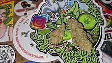 Keep Blazing Stay Amazing Video Thumbnail