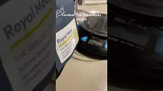 Curaleaf T20 Royal Moby weight