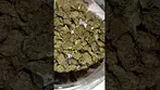 Cold Creek Kush by 4C Labs MC #medical #uk #kush #alternaleaf