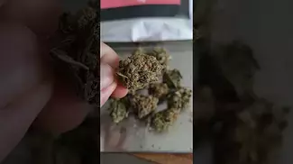 Upstate T22 Full Gas ukmedicalcannabis painrelief medical cannabiseducation plantmedicine