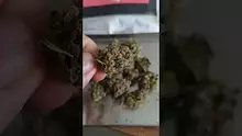 420Medical Video Thumbnail