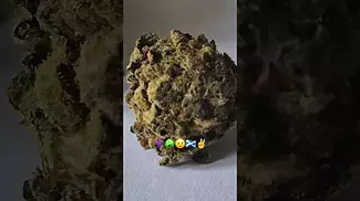 Hexacan - Wedding Sunset 25% THC (UK Medical Cannabis Prescription)