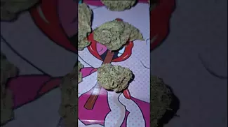 4C Labs Pucker Up 24% | UK Medical Cannabis
