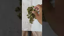 My Medical 420 Video Thumbnail