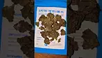 Cookies Pomegranate Shake (25% THC UK Medical)