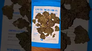 Cookies Pomegranate Shake (25% THC UK Medical)
