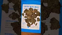 ezratheplug Video Thumbnail