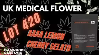 UK MEDICAL FLOWER | LOT 420 AAAA | LEMON CHERRY GELATO